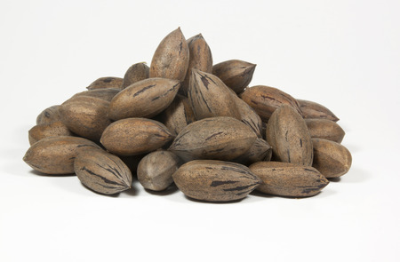 random pile of newly picked pecan nuts