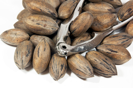 silver nutcracker with pile of pecan nuts