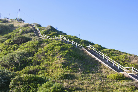 long wooden stairway to top of steep dune on sea shoreの写真素材
