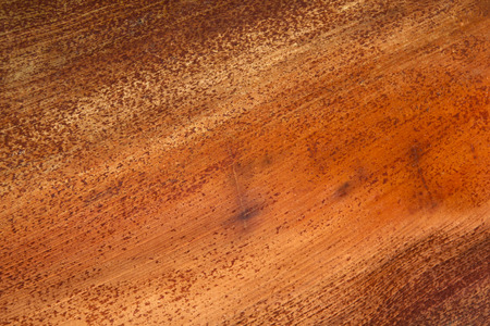 base of fallen palm frond reflecting patterns and texturesの写真素材