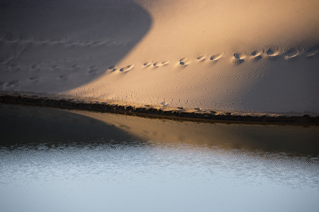 reflection of sand dune in water disturbed by light breezeの写真素材