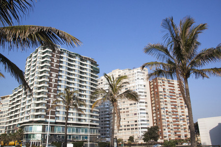 DURBAN, SOUTH AFRICA - JULY 23, 2014: View of palm trees in front of golden mile beachfront hotels in Durban South Africaのeditorial素材