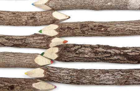 Studio shot of colored pencil crayons set in natural wooden sticks on whiteの写真素材