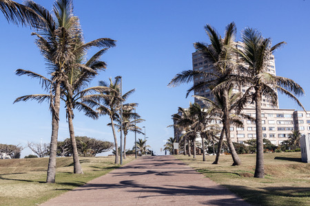 Palm trees and paved walkway lead toward residential complex on beach front in Durban South Africaの写真素材