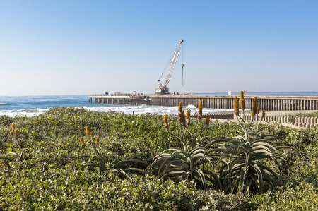 View of dune vegetation aloes beach sea and concrete pier under construction in Durban South Africa