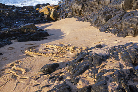 Washed in beach sand surrounded by black rock background on beach in South Africa