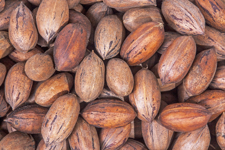 Close up of collection pile of organic raw  pecan nuts texture and patternsの写真素材