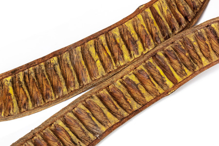 Close up studio shot of two separated  halves of empty seed pods brown and yellow patterns and textures of a flamboyant treeの写真素材