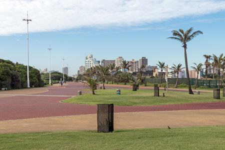 Quiet early morning paved promenade lawn and palm trees against city skyline in Durban, South Africaの写真素材
