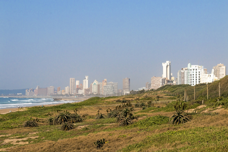 Coastal landscape of green dune vegetation and aloe plants  against coastal skyline in Durban, South Africaの写真素材