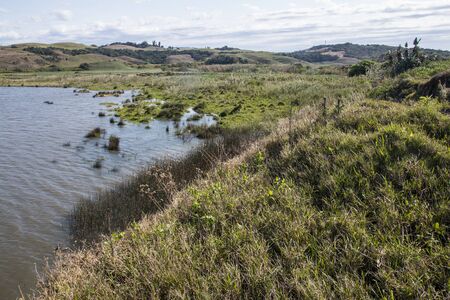 Cure in river with thick grassy banks and hills in backgroundの写真素材