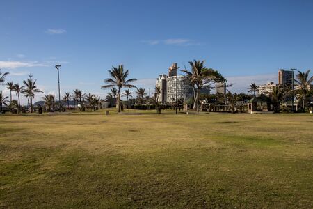 Green grass and palm trees before in from hotels on durban's golden milsの写真素材