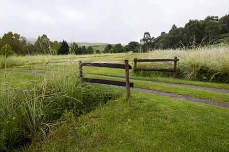Wooden railing on edge of tracks through natural vegetation