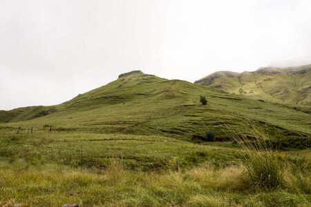 Grass covered field at base of mountainsの写真素材