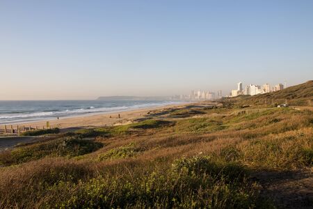 Dune rehabilitation with ocean and city buildings in background, Durban, South Africaの写真素材