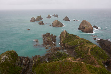 Nuggets into the Oceanの写真素材