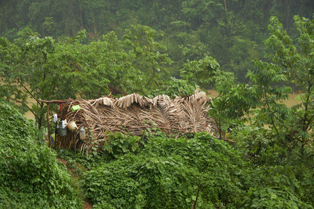 A nomadic house of Batek tribe by the stream at the national park of Malaysia.の写真素材