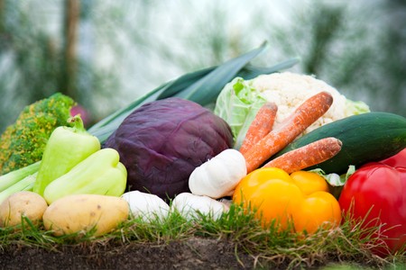 Fresh tomatoes, bell peppers, carrots and other vegetablesの写真素材