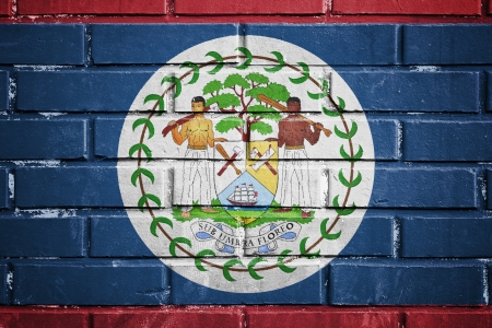 Belize flag on the brick wallの写真素材