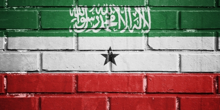 Somaliland flag on texture brick wallの写真素材