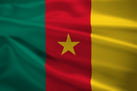 Cameroon flag blowing in the wind. Background texture.の写真素材