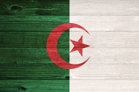 Algeria Flag painted on old wood plank backgroundの写真素材