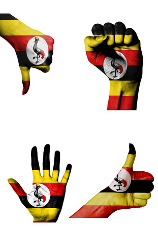 hands with multiple gestures (open palm, closed fist, thumbs up and down) with Uganda flag painted isolated on whiteの写真素材