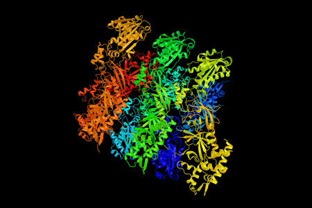 Ribonuclease H2, subunit B, a protein  composed of a single catalytic subunit and two non-catalytic subunits. Mutations in this gene are a cause of Aicardi-Goutieres syndrome type 2. 3d rendering.の写真素材