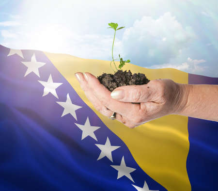 Bosnia and Herzegovina growth and new beginning. Green renewable energy and ecology concept.の写真素材