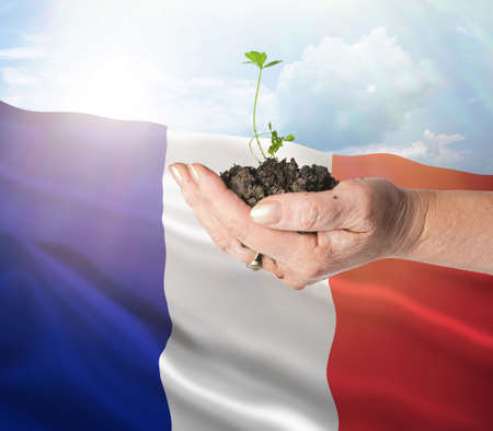 France growth and new beginning. Green renewable energy and ecology concept. Hand holding young plant.の写真素材