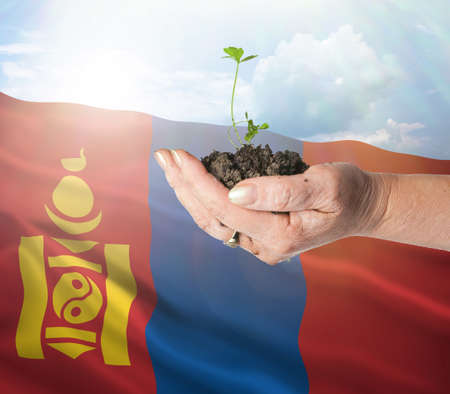 Mongolia growth and new beginning. Green renewable energy and ecology concept. Hand holding young plant.の写真素材