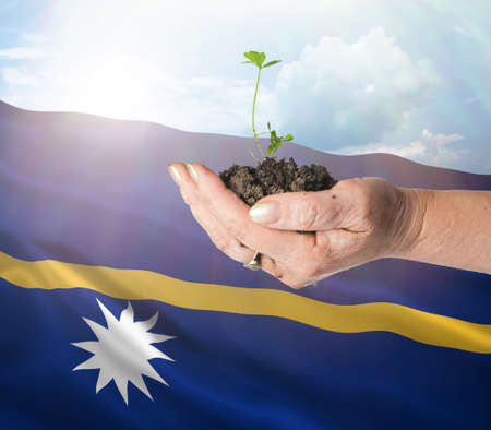 Nauru growth and new beginning. Green renewable energy and ecology concept. Hand holding young plant.の写真素材