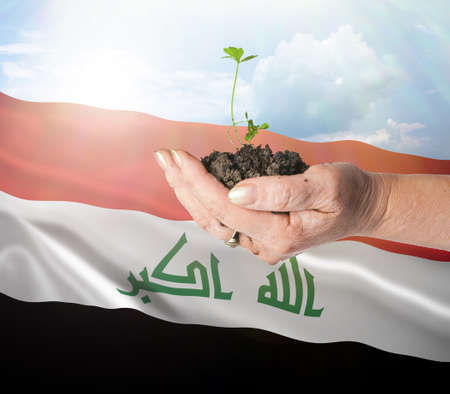 Iraq growth and new beginning. Green renewable energy and ecology concept. Hand holding young plant.の写真素材