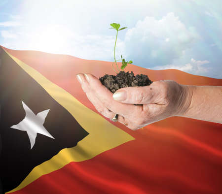 East Timor growth and new beginning. Green renewable energy and ecology concept.の写真素材