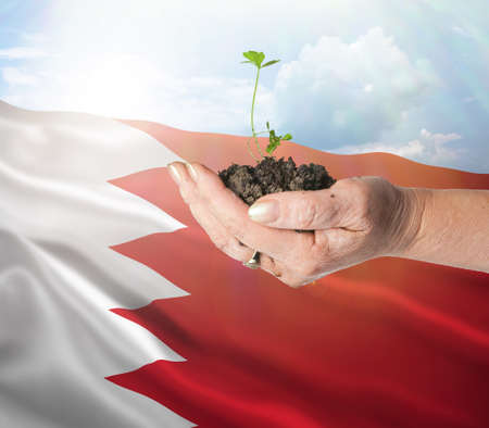 Bahrain growth and new beginning. Green renewable energy and ecology concept.の写真素材