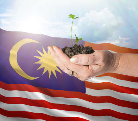 Malaysia growth and new beginning. Green renewable energy and ecology concept. Hand holding young...