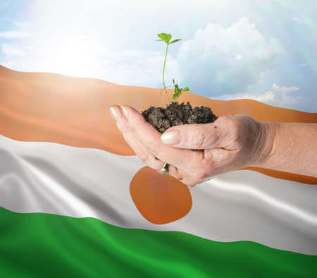 Niger growth and new beginning. Green renewable energy and ecology concept. Hand holding young plant.の写真素材