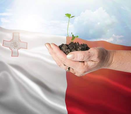 Malta growth and new beginning. Green renewable energy and ecology concept. Hand holding young plant.の写真素材