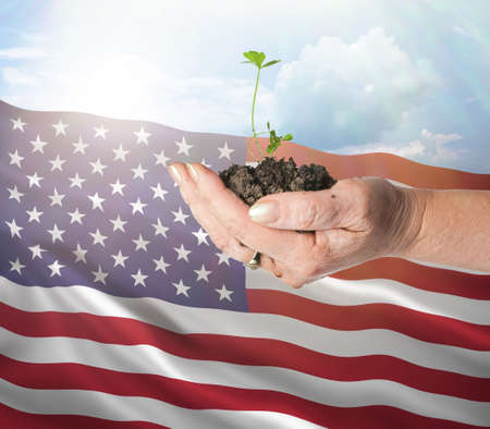 United States growth and new beginning. Green renewable energy and ecology concept. Hand holding young plant.の写真素材