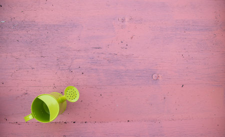 Top down view of a children's small green gardening watering can on a pink background gardening conceptの写真素材