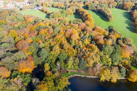 A beautiful aerial photo in the autumn fall at the park in Leeds West Yorkshire known as Roundhay Park showing the brown and green colours on the treesのeditorial素材