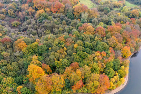 Aerial photo in autumn showing the beautiful autumn fall colours of a park in Leeds known as Roundhay Park in West Yorkshire UK, showing a typical British park and woods along side a lake.のeditorial素材