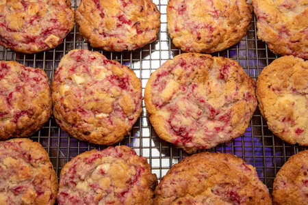A trey of freshly home baked delicious Raspberry and White Chocolate Cookiesの写真素材