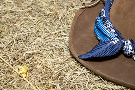 A straw bail background texture with a brown cowboy hat resting on the hay bale