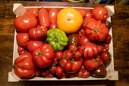 A large basket of lots of varieties of red green and yellow tomatoesの写真素材