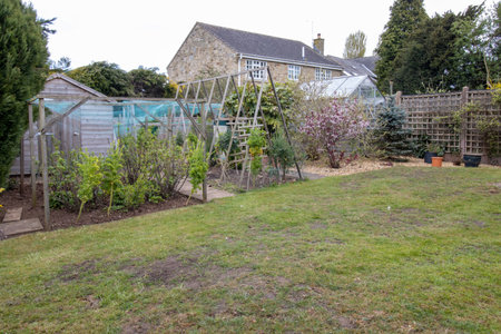 Photo of a typical British garden showing home grown fruit and vegetables being grown in the UK gardenの写真素材