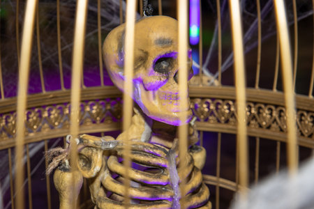 A scary spooky fake skeleton in a cage, halloween decoration for a Halloween partyの写真素材