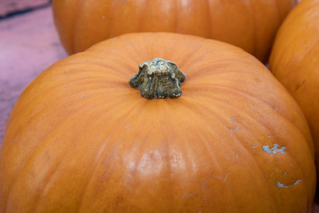 An orange pumpkin on a pink wooden background ready for halloweenの写真素材