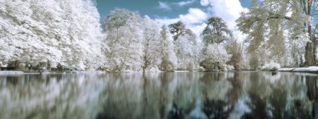Infrared panoramic  landscape with trees reflecting in lake orton effectの写真素材