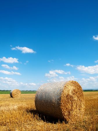 Scenic landscape of a beautiful freshly cut wheat field with haystacks  under blue sky with clouds in southern Franceの写真素材